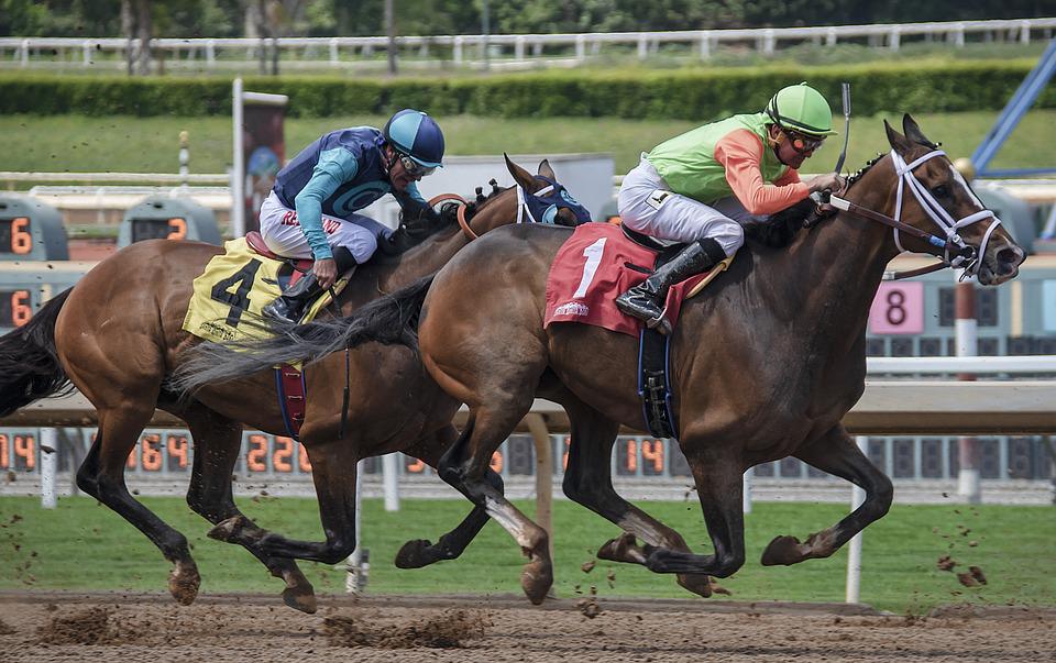 The Belmont Stakes 101!